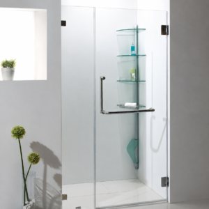 Frameless Clear Glass Shower Enclosure